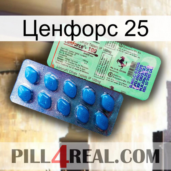 Ценфорс 25 new02.jpg